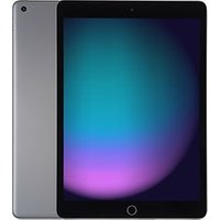 Apple iPad 10,2 64GB [wifi, model 2021] spacegrijs